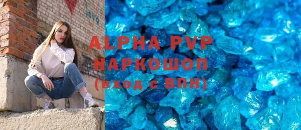 гидра Вязьма