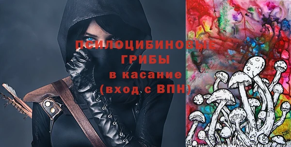твердый Володарск