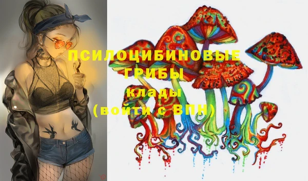 дмт Волоколамск