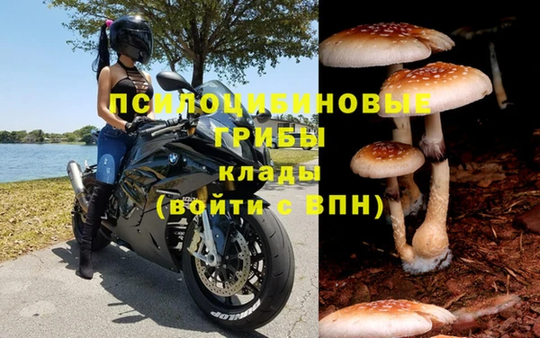 ПСИЛОЦИБИНОВЫЕ ГРИБЫ Волосово